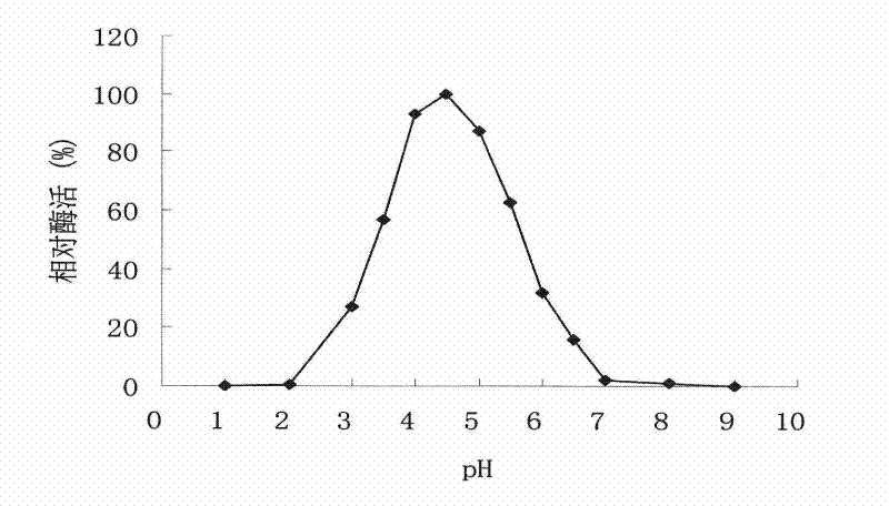 High-specific-activity xylanase XYN11F63 and genes and application thereof