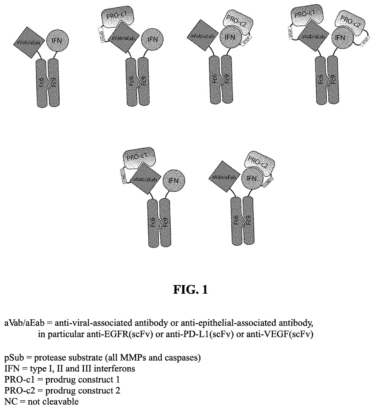 Compositions and methods for treating viral infections