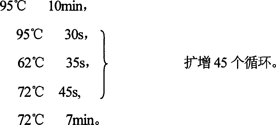 Method for predicting angiotonin II receptor agonist hypotensor function and use