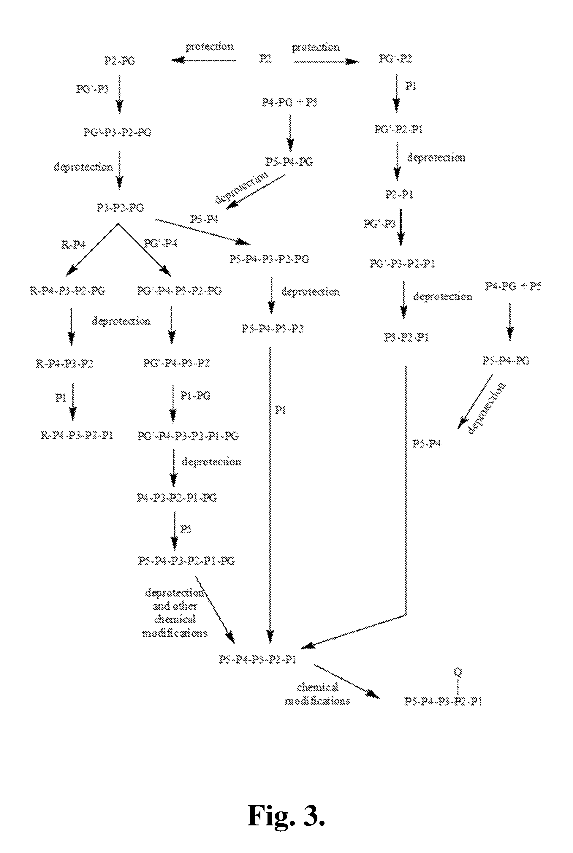 Covalent granzyme b inhibitors