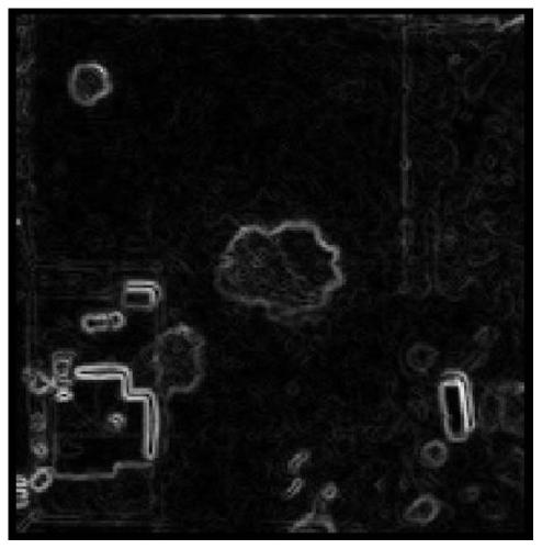 Screening method for autonomous landing candidate area of ​​unmanned aerial vehicles in complex scenes without preset targets