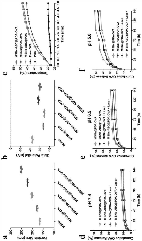 PH-responsive mesoporous silicon nanoparticle treatment vaccine based on co-entrapped antigen and photosensitizer as well as preparation method and application thereof