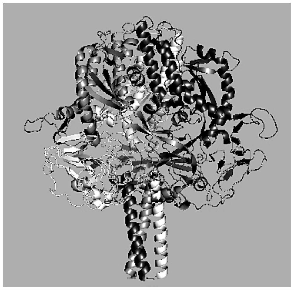 Subunit f protein of Peste des petits ruminants virus and its preparation method and application