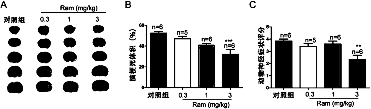 Application of ramelteon in preparation of drug for treating ischemic brain injury
