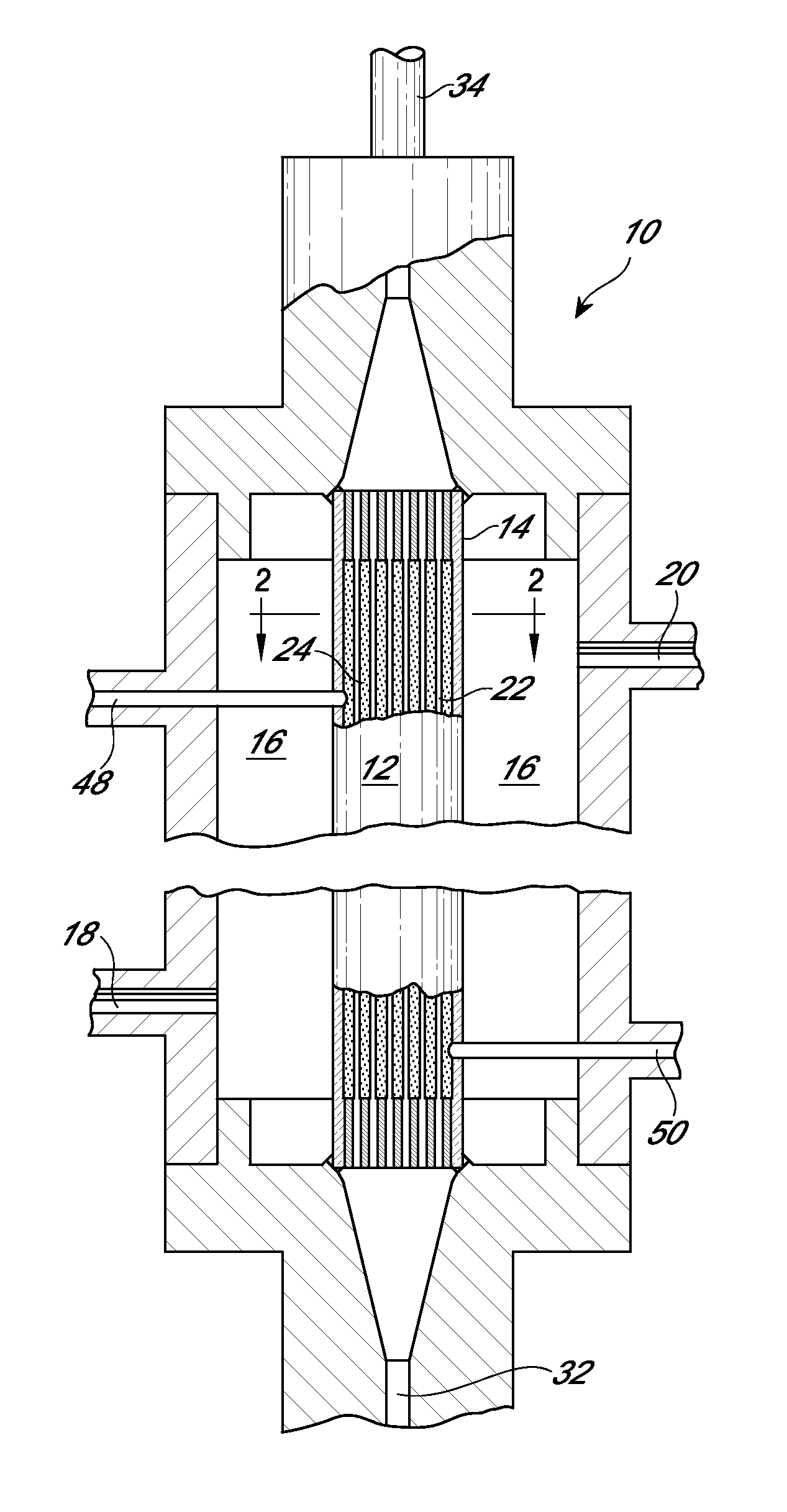Device and method for purifying virally infected blood