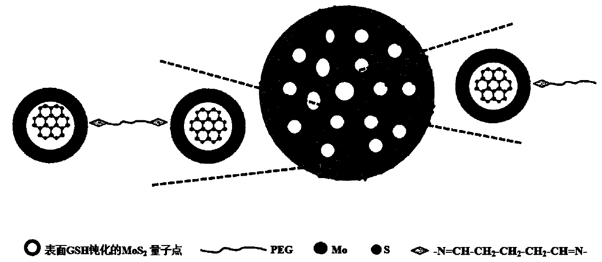 PEG/MoS2 quantum dot composite fluorescent nanometer microsphere and application thereof