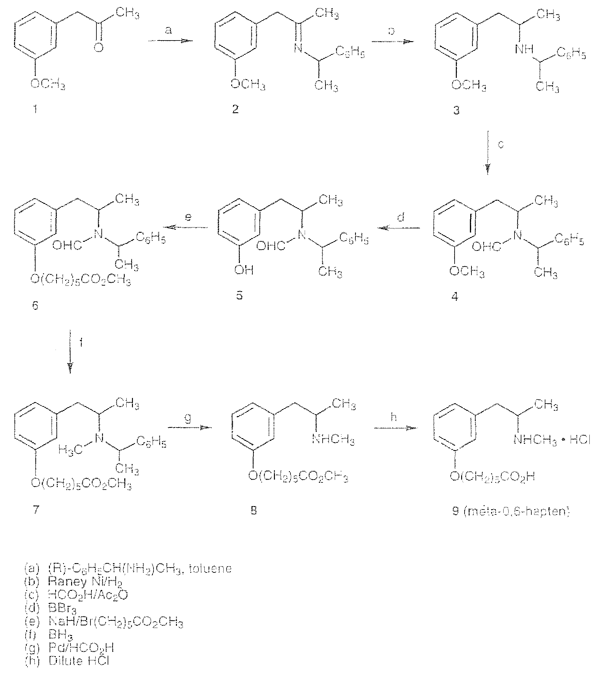 Methamphetamine-like hapten compounds, linkers, carriers and compositions and uses thereof
