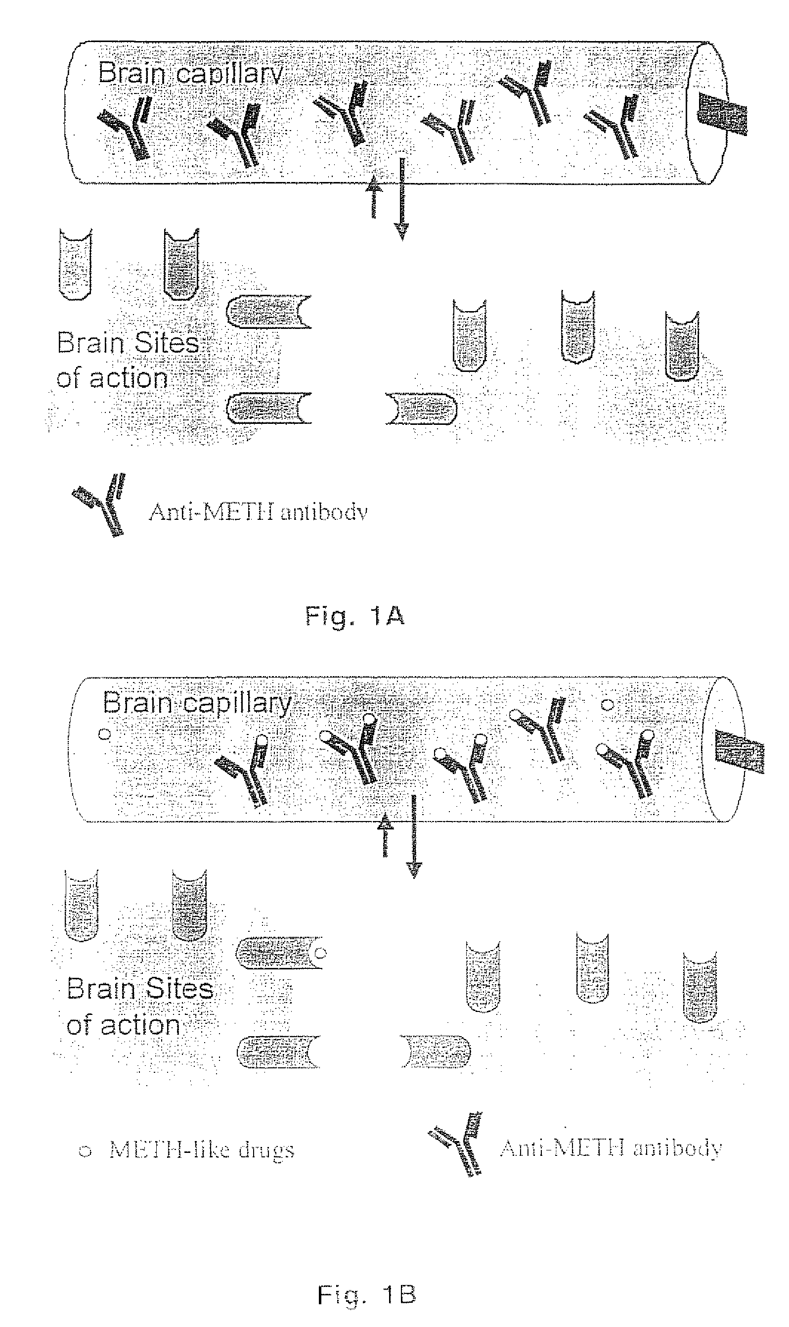 Methamphetamine-like hapten compounds, linkers, carriers and compositions and uses thereof