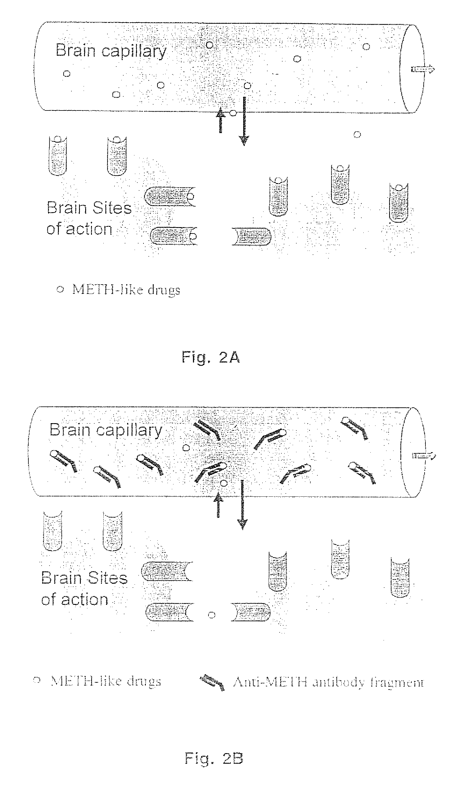 Methamphetamine-like hapten compounds, linkers, carriers and compositions and uses thereof