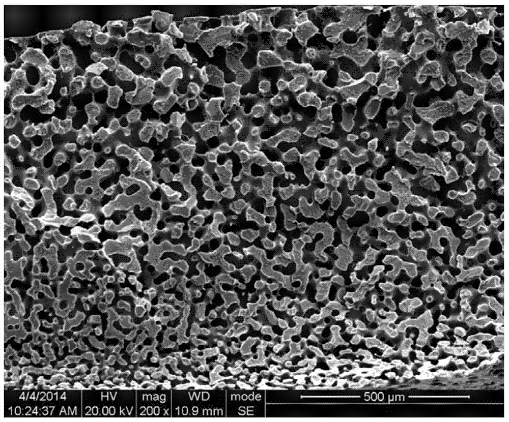 A kind of preparation method of gradient porous polymer material