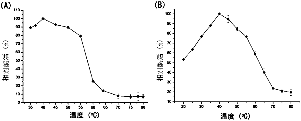 Alkaline urate oxidase and applications thereof to detection kit and reduction of uric acid in foods