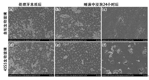 Bioglass granular material and preparation technique thereof