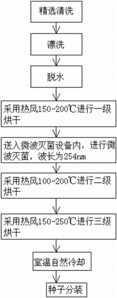 Full-automatic elaborate selecting, grinding, polishing, cleaning, drying and sterilizing production system