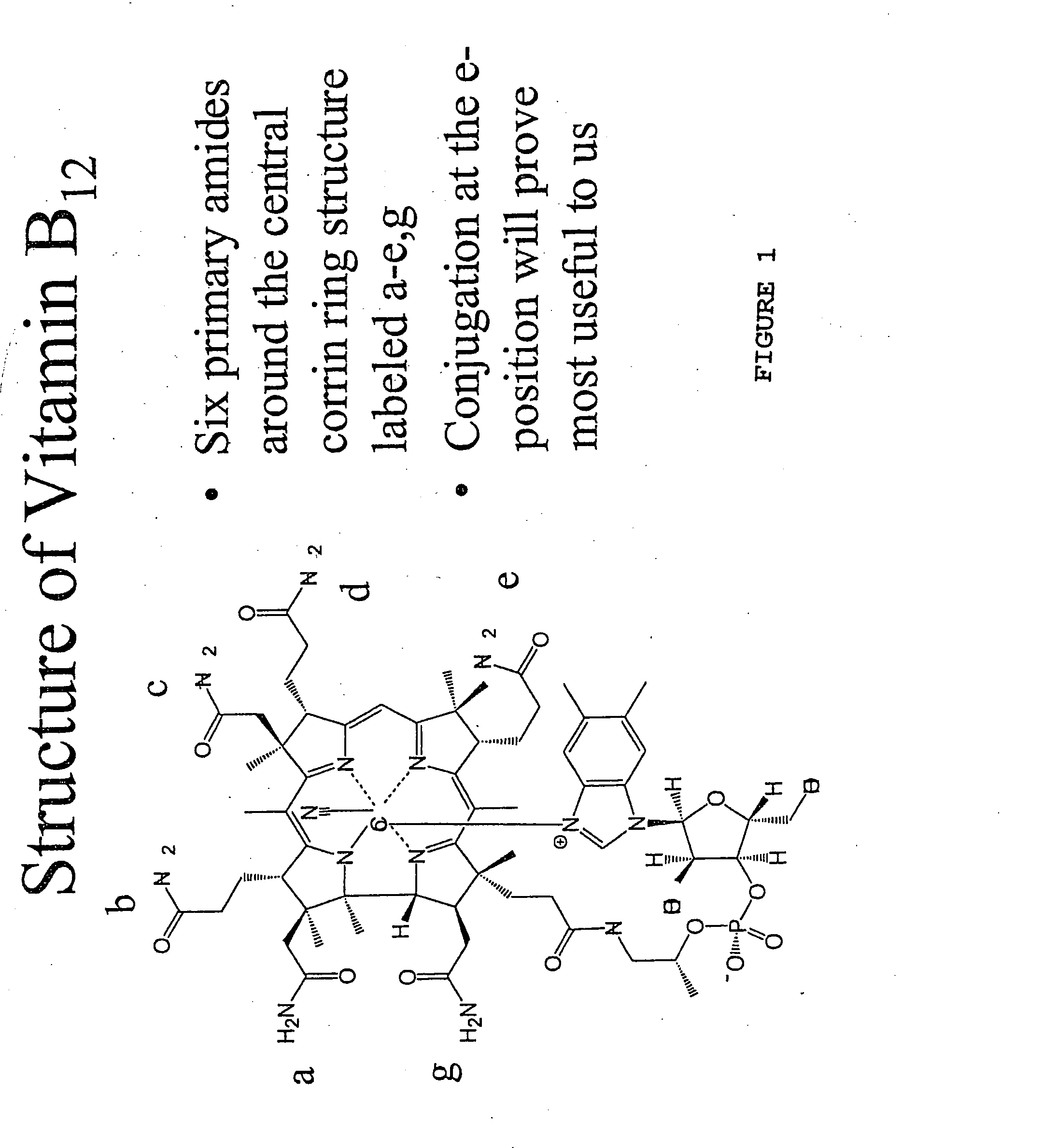 Drug delivery and targeting with vitamin B12 conjugates