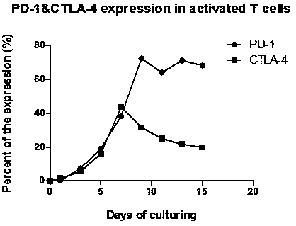 Preparation method of high-efficiency killer cell preparation with double blocking CTL of immune checkpoint