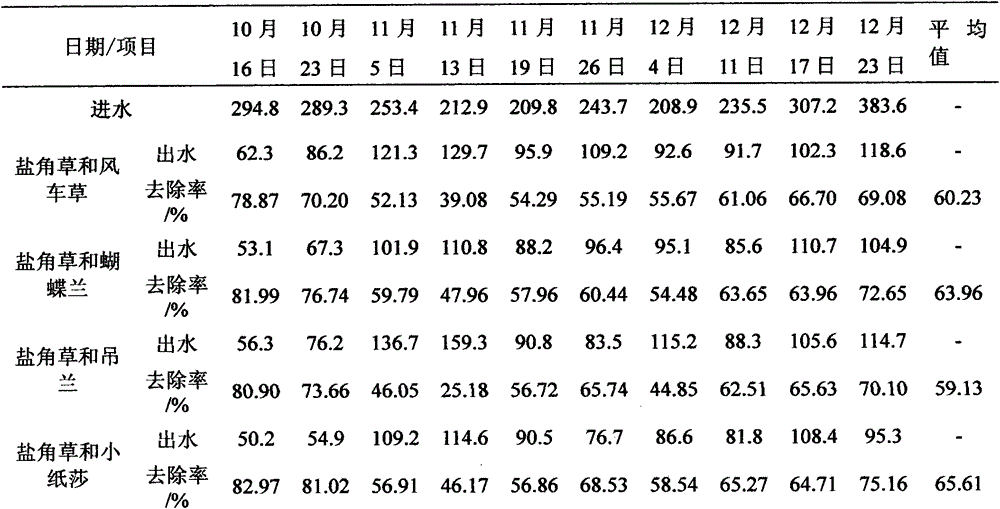 Method for deep treatment of high-salinity industrial organic wastewater with plant composite bed