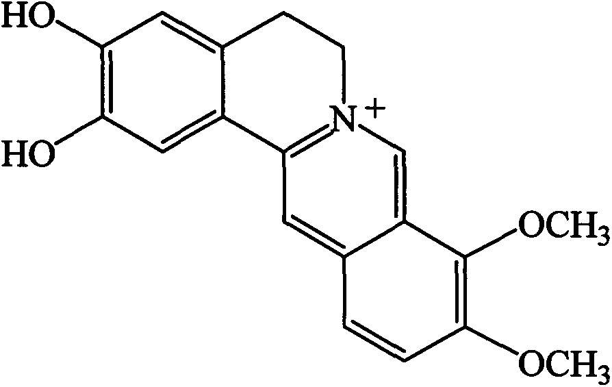 Application of demethyleneberberine in preparation of hypolipidemic drug