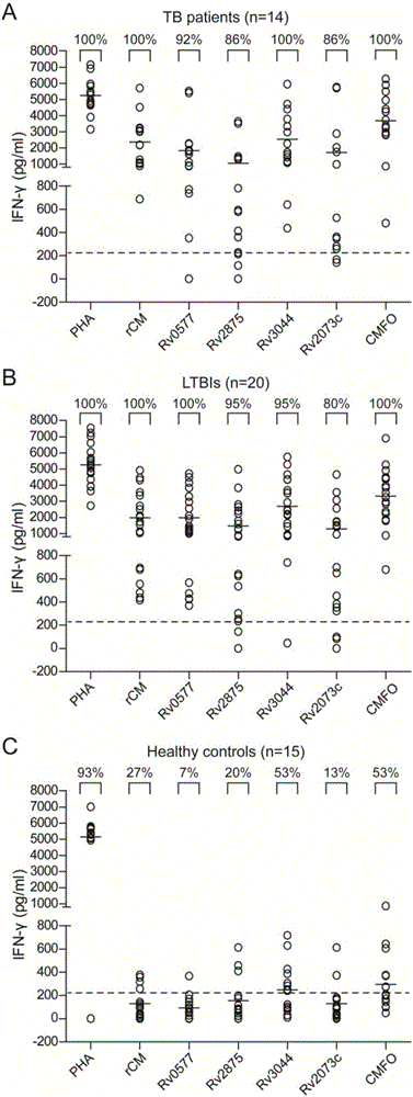 Fusion protein CMFO and application thereof