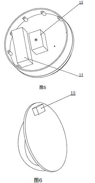 Handheld testis massaging device