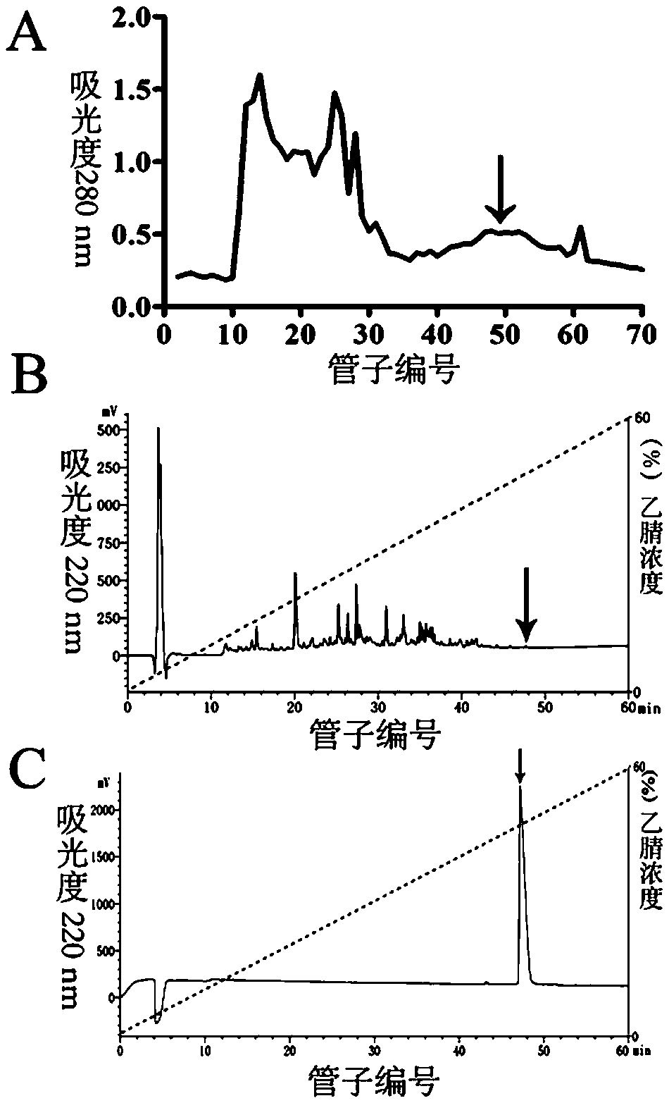 Anti-oxidative injury skin-protection active polypeptide AOP-P1 and preparation method and application thereof