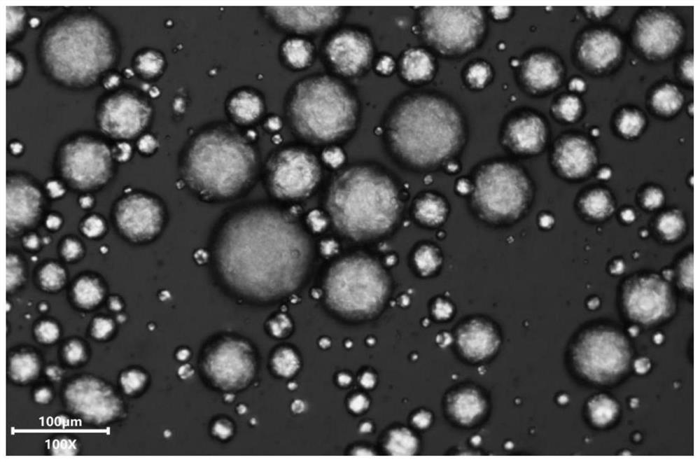 Organic-inorganic hybrid paraffin/silicon dioxide/modified illite powder phase change microcapsule as well as preparation method and application thereof