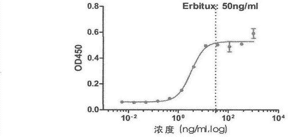 Antibody blocking cetuximab and egfr binding, its kit and hybridoma cell