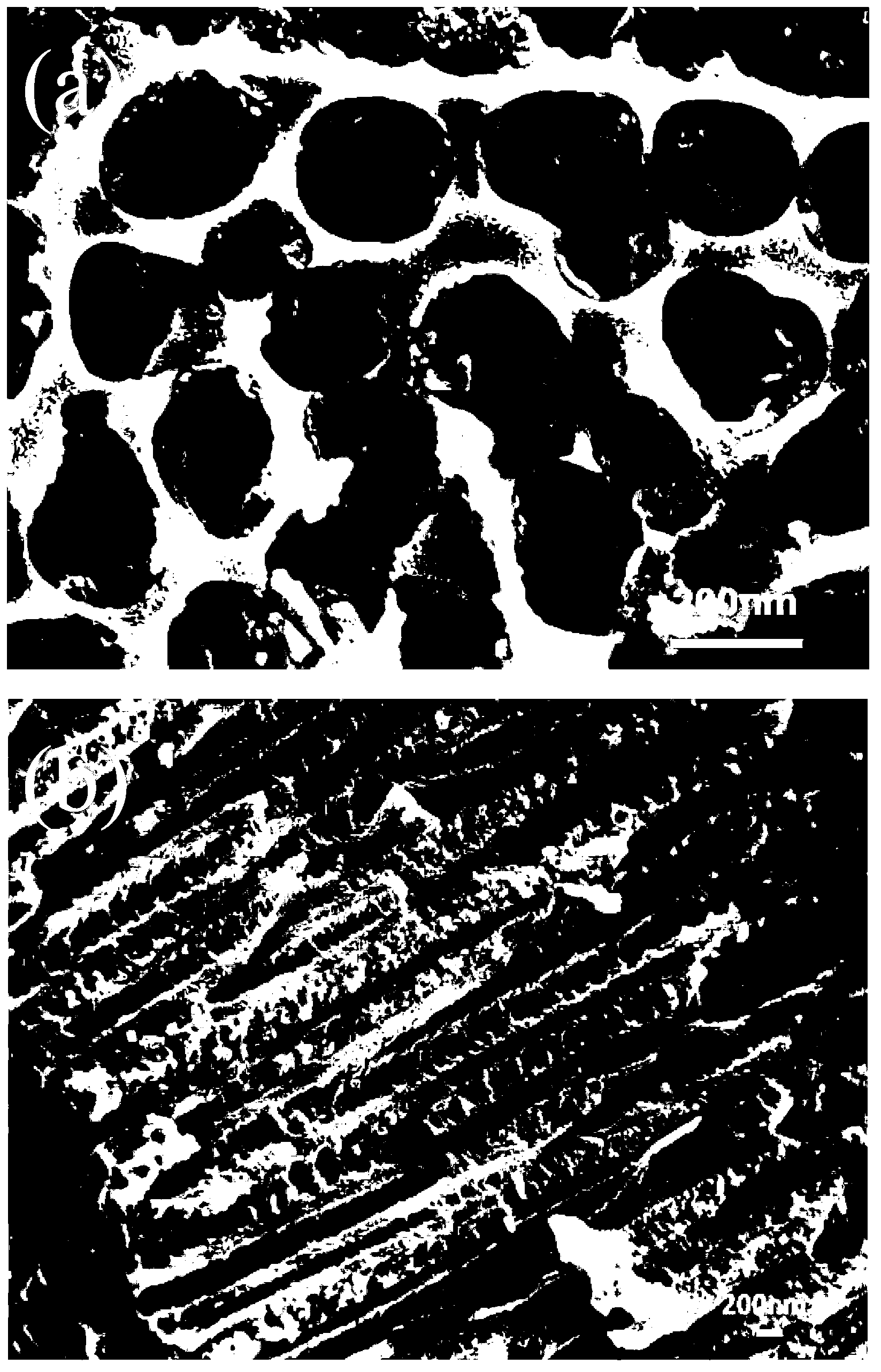 Preparation method for CaO-SiO2/PAA composite film material having biological activity