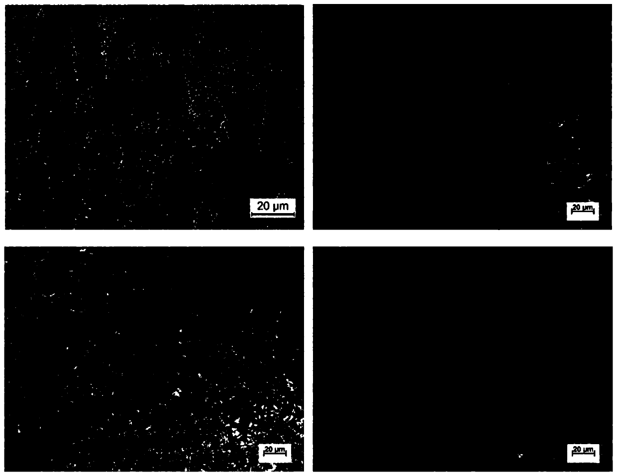 Heat treatment method for structure refinement of high-strength automobile steel