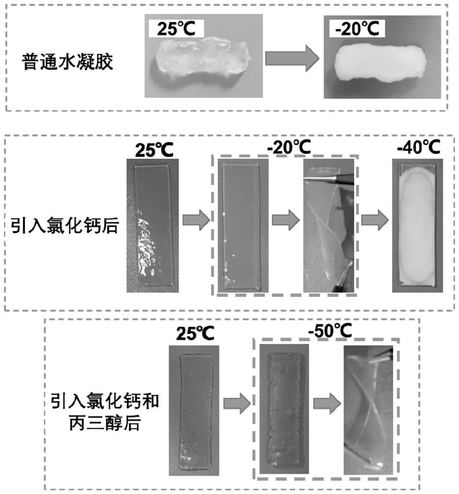 A kind of ice-resistant hydrogel bonding material and its preparation method and application