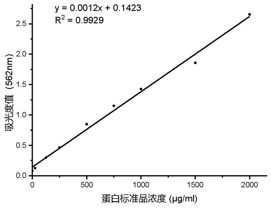 Cordyceps militaris neutral oligosaccharide for regulating lung lymphocyte differentiation as well as preparation method and application of cordyceps militaris neutral oligosaccharide