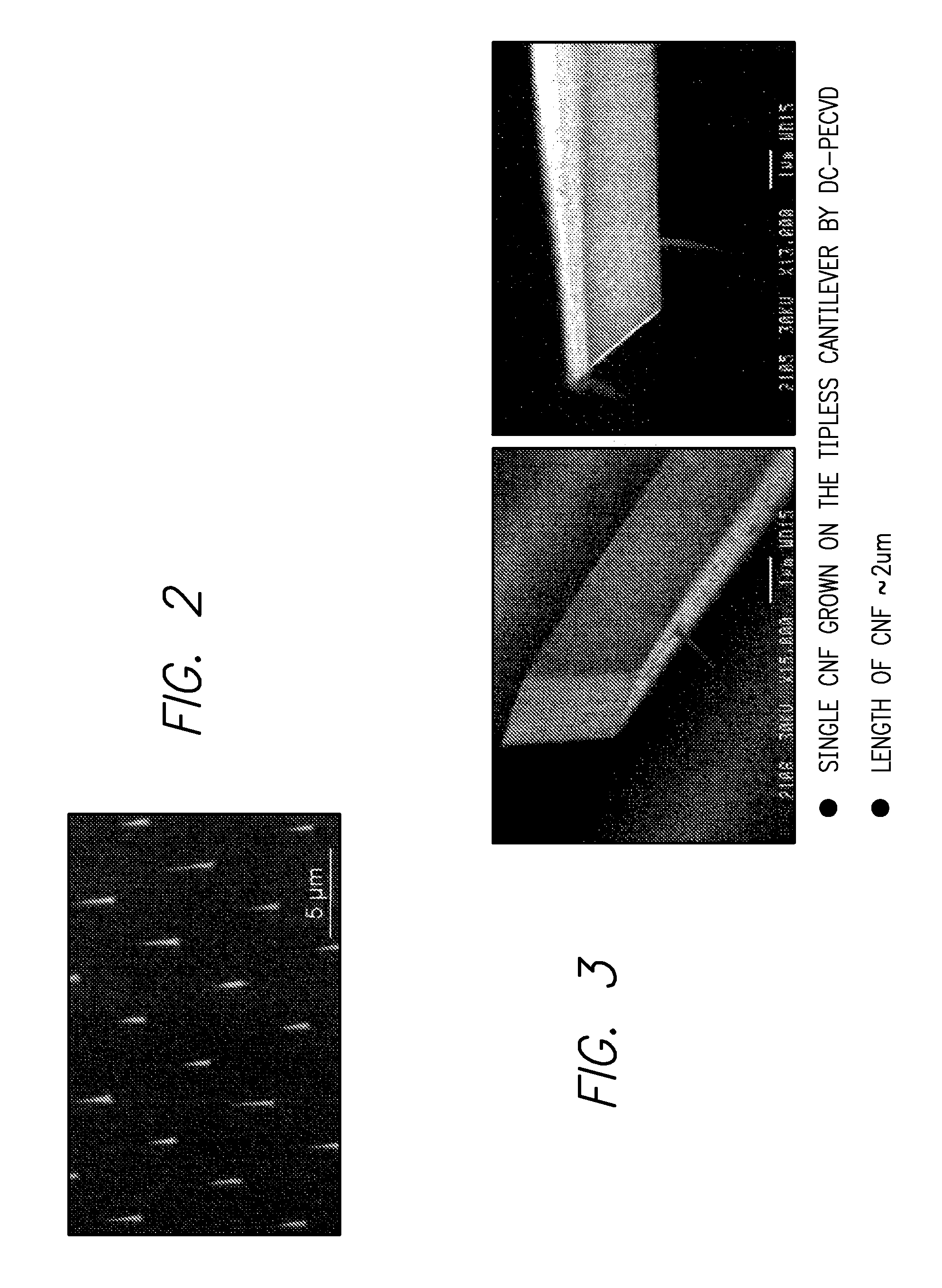 Probe system comprising an electric-field-aligned probe tip and method for fabricating the same