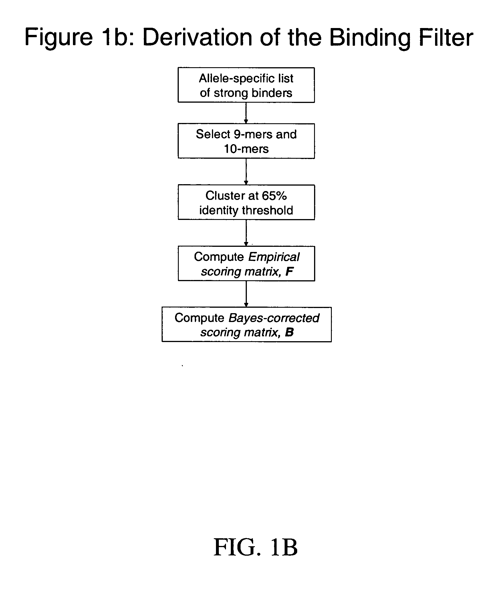 System and method for automated selection of T-cell epitopes