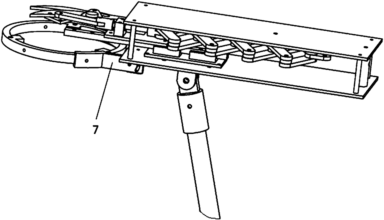 Self-adaption auxiliary picking device for oranges