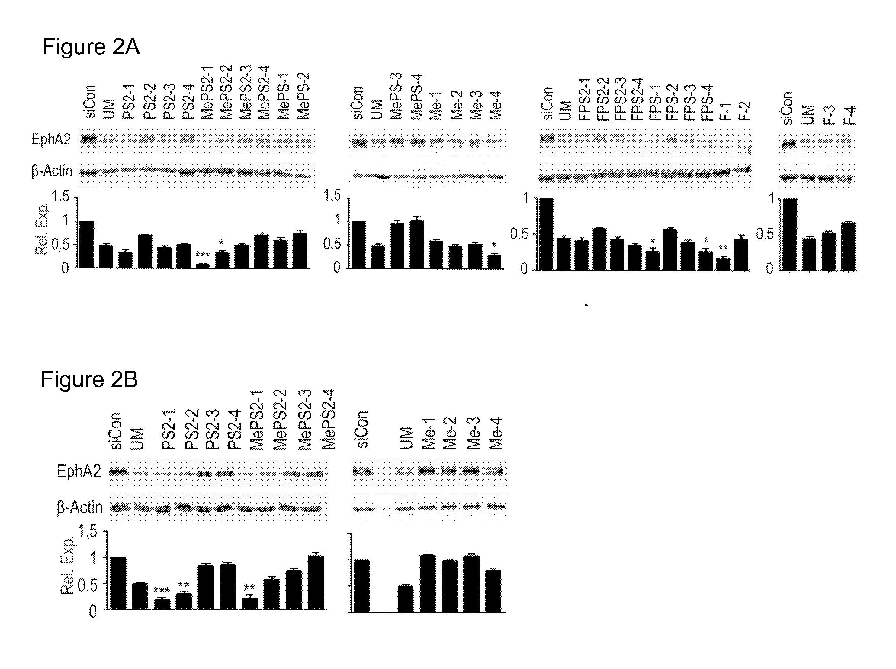 Methods and Compositions of Improved Modified siRNA