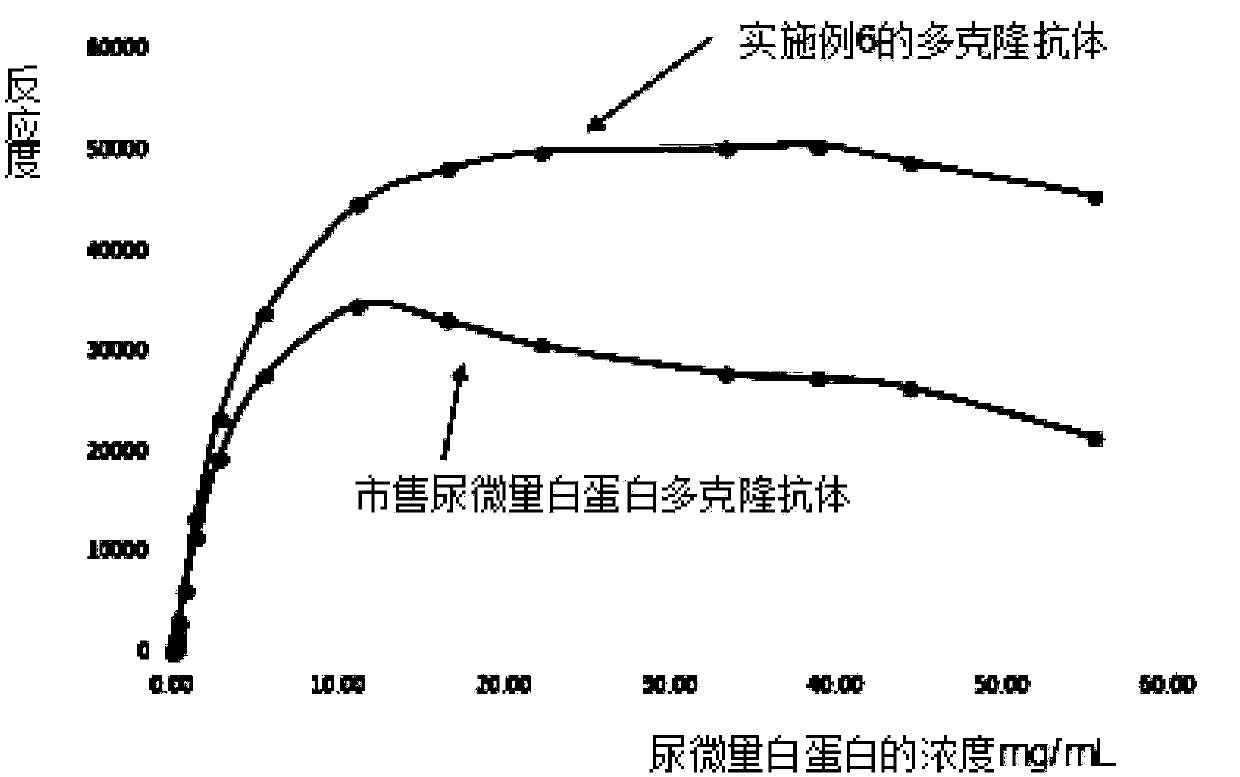 Microalbuminuria immunogen, preparation method of microalbuminuria immunogen, polyclonal antibody and preparation method and application of polyclonal antibody