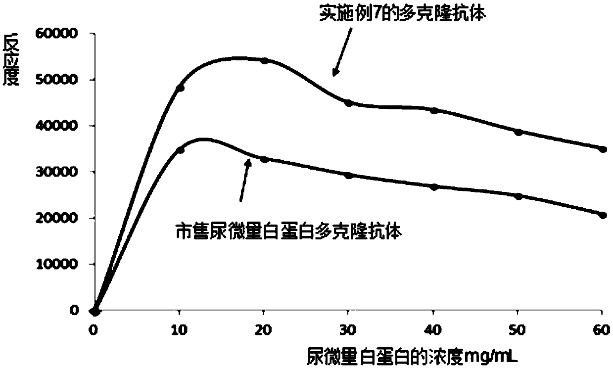 Microalbuminuria immunogen, preparation method of microalbuminuria immunogen, polyclonal antibody and preparation method and application of polyclonal antibody