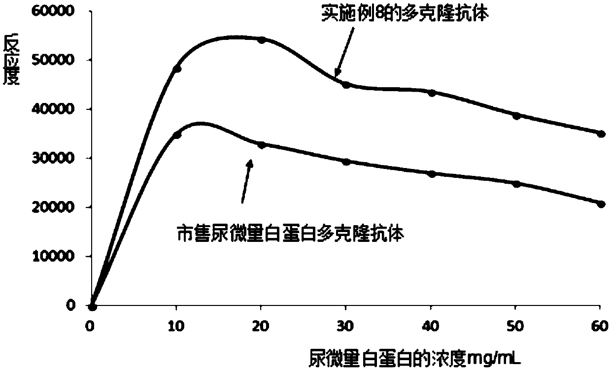 Microalbuminuria immunogen, preparation method of microalbuminuria immunogen, polyclonal antibody and preparation method and application of polyclonal antibody