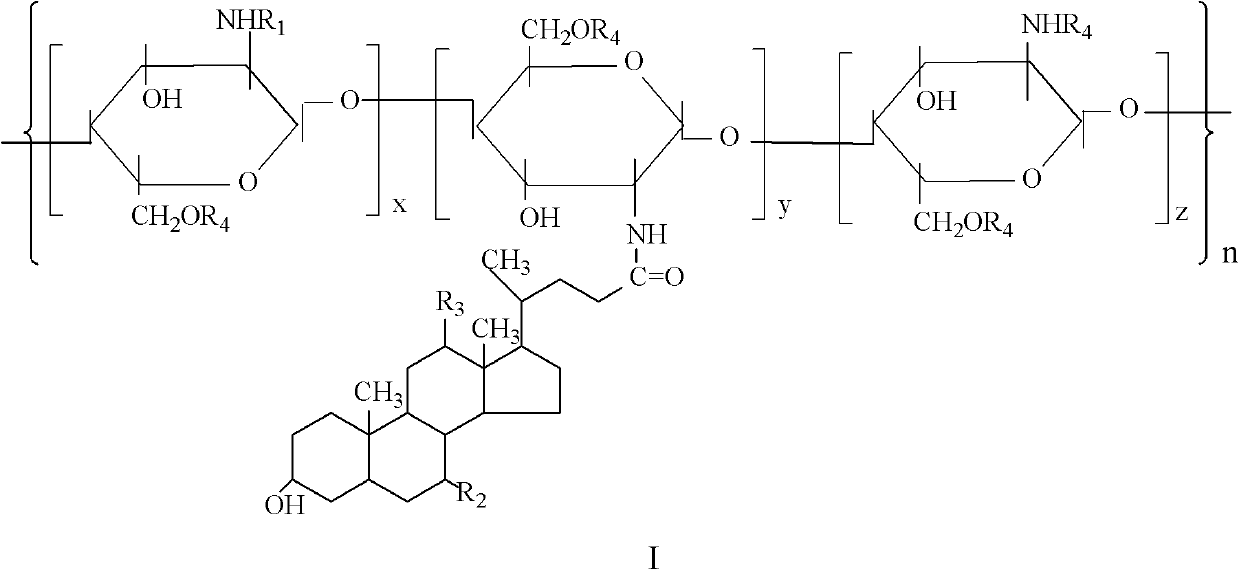 A kind of amphiphilic chitosan-bile acid derivative and preparation method thereof