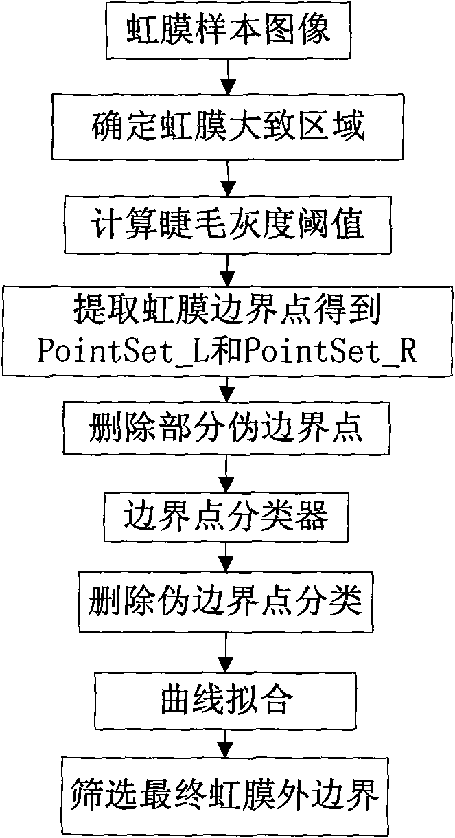Iris external boundary positioning method based on shades of gray and classifier