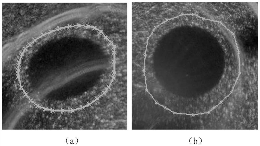 Anti-artifact feature extraction method based on ultrasonic tomography reflection image convex target