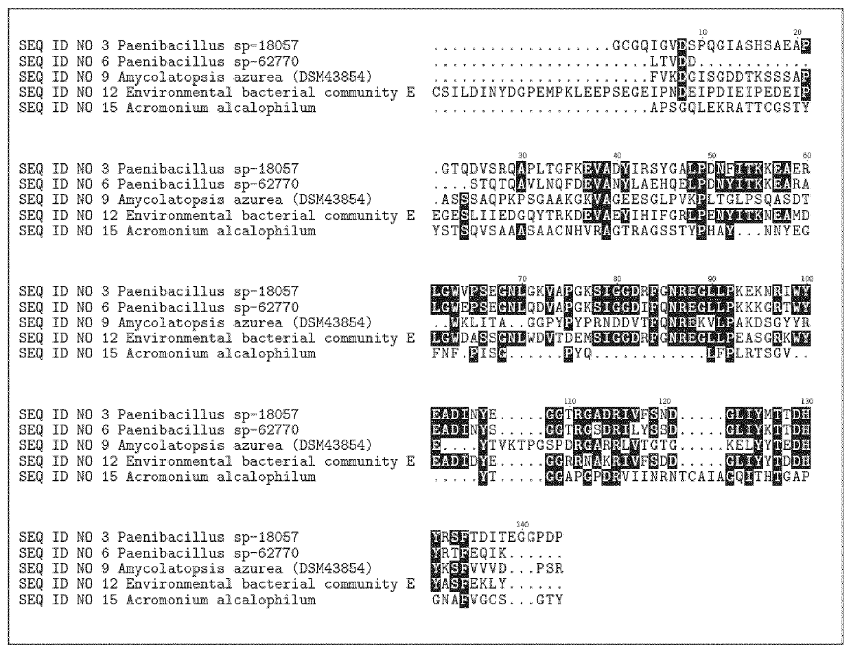 Polypeptides having RNase activity