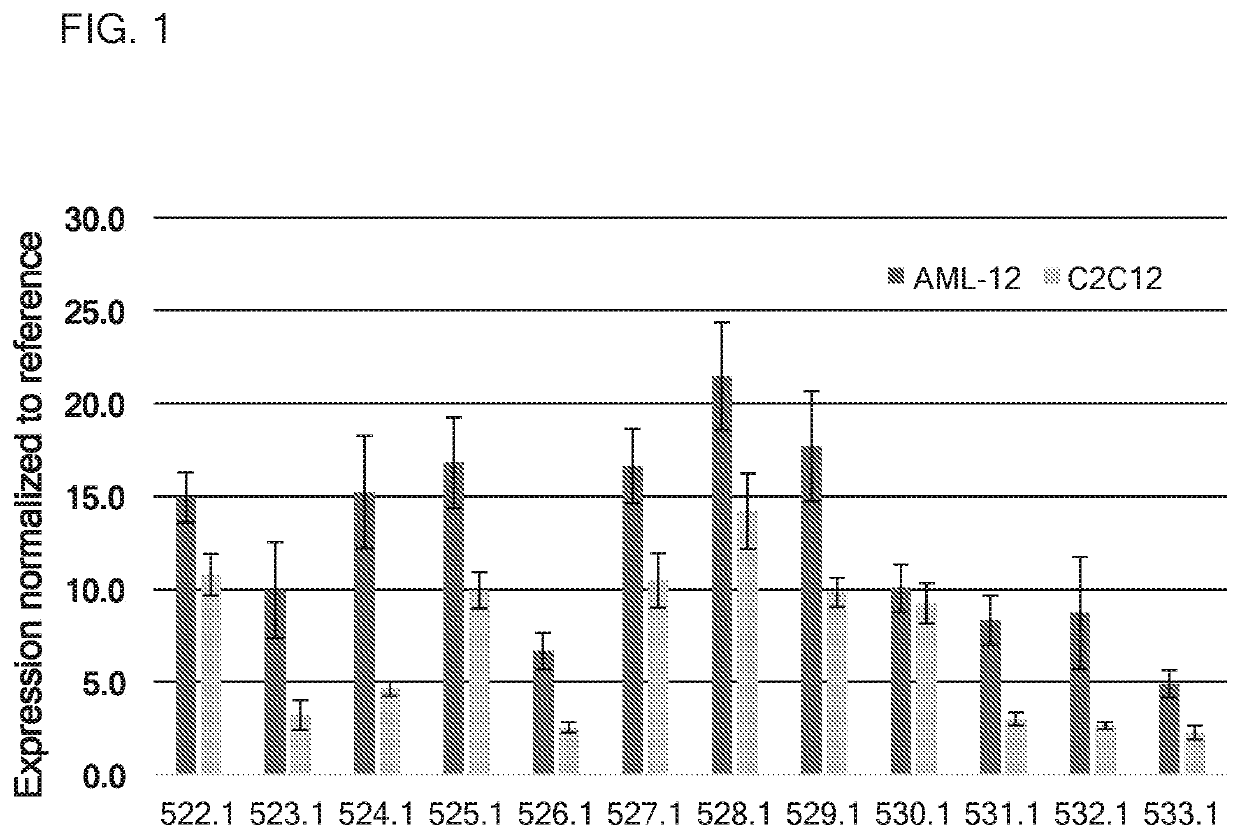 Therapeutics for glycogen storage disease type iii