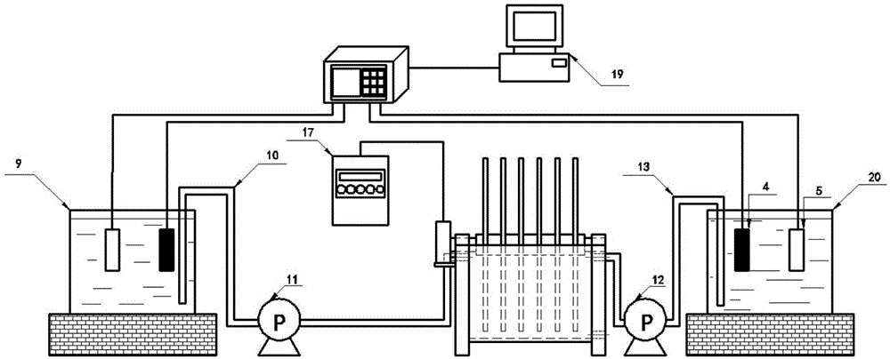 Biofilm sewage treatment device and biofilm in-situ testing method