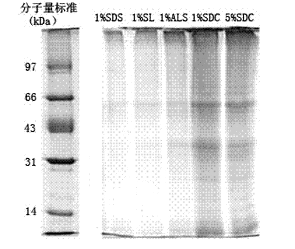 Treatment method of sample for membrane protein analysis identification