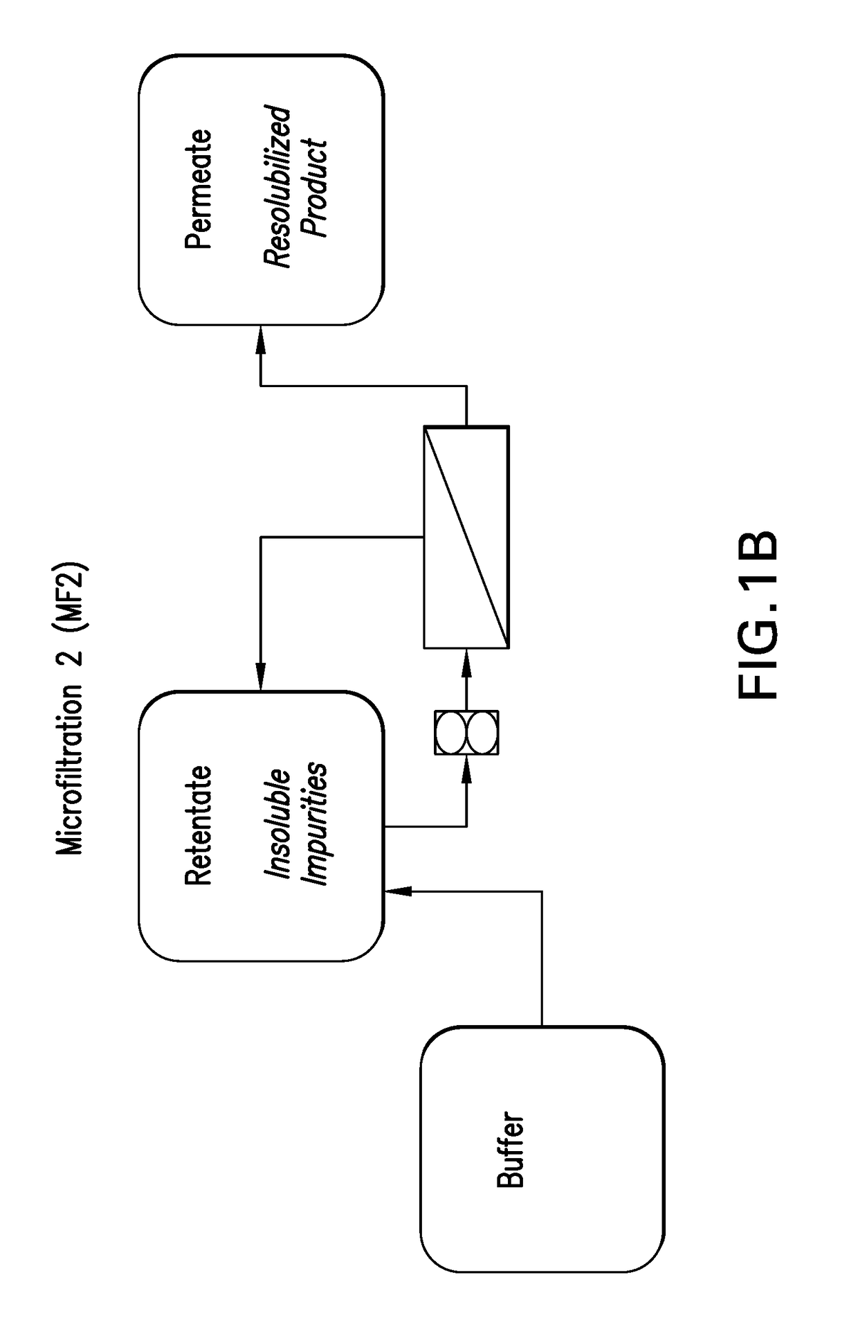 Process for preparing recombinant insulin using microfiltration