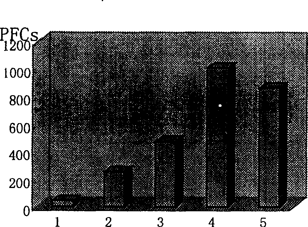 Bursopoietin extracting method and its use in disease treating and immune