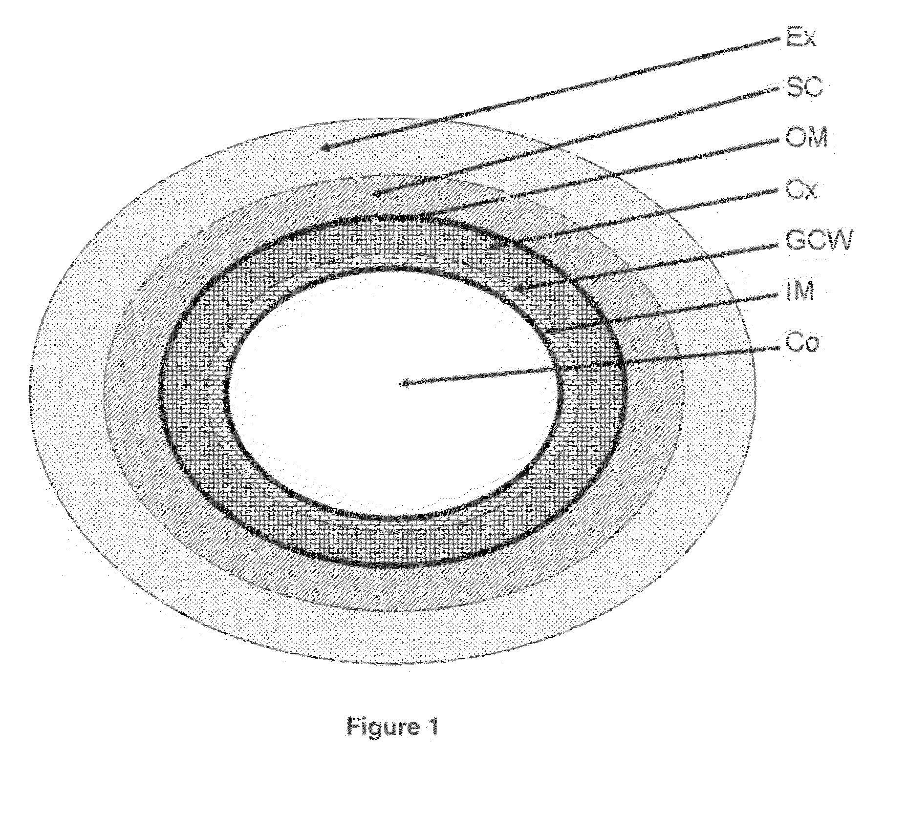 Method and apparatus for two-step sterilization