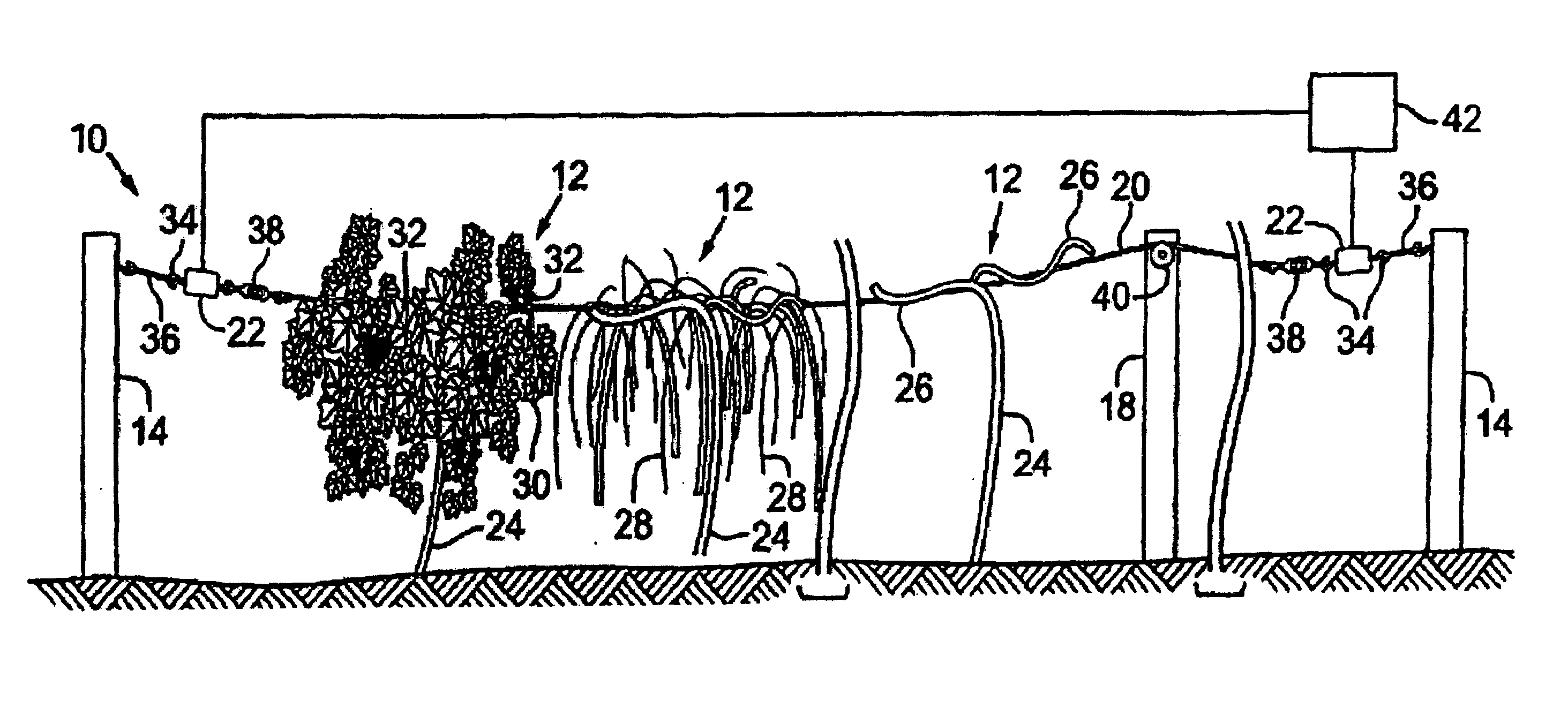 Apparatus and method for measuring the mass of vegetation or fruit supported on a trellis
