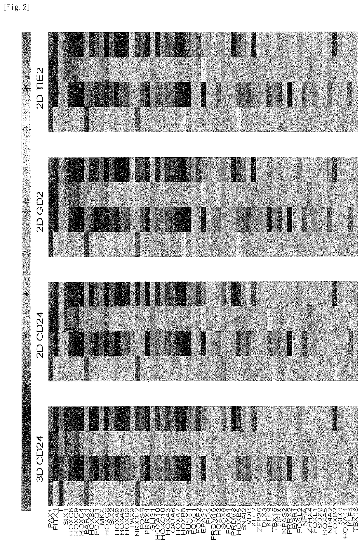 Differentiation inducer containing nucleus pulposus cell master regulator transcription factors, method for producing induced nucleus pulposus cells, and use of induced nucleus pulposus cells