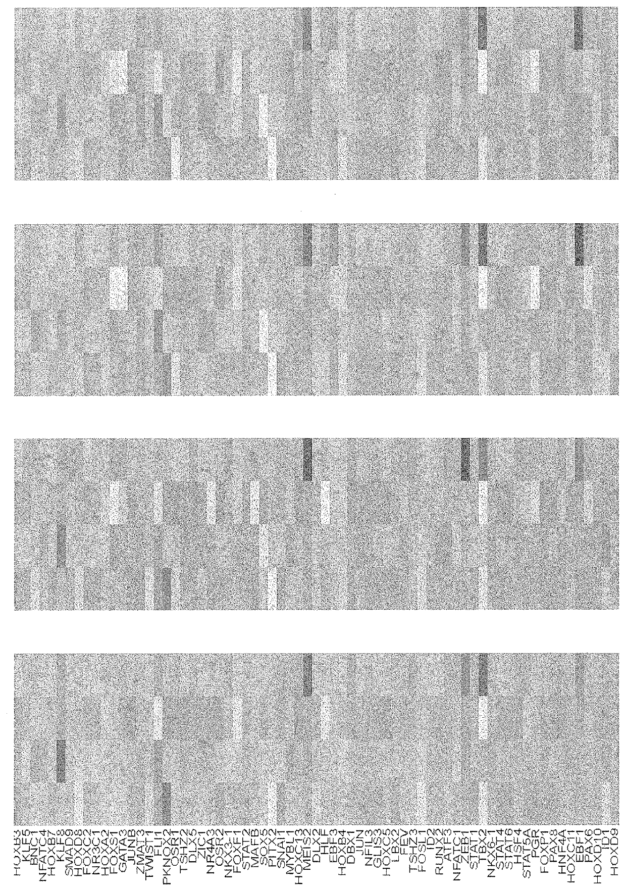 Differentiation inducer containing nucleus pulposus cell master regulator transcription factors, method for producing induced nucleus pulposus cells, and use of induced nucleus pulposus cells